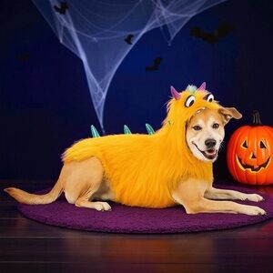 Hyde & EEK! Boutique Pet Orange Monster Dog Hoodie Costume – Large